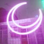 bloombatter member profile picture