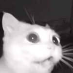 The_Ungreat_DT109 member profile picture
