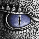 Shorzy member profile picture