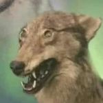 AmericanNationalist member profile picture