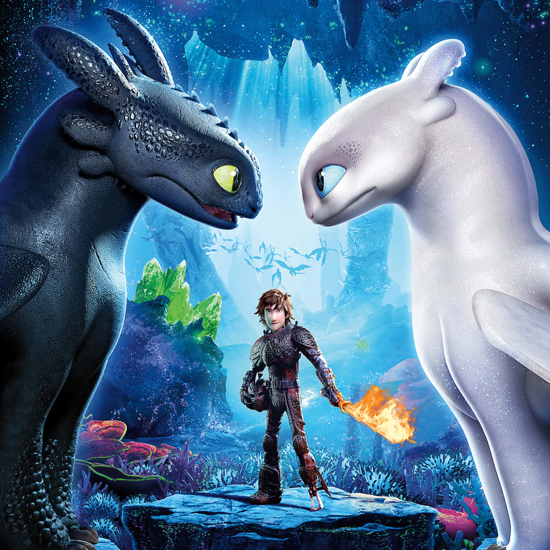 How to train your Dragon: The Third Part