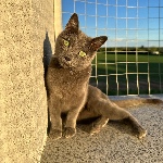 lenny_weidner member profile picture