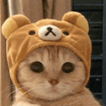 citty_cat104 member profile picture