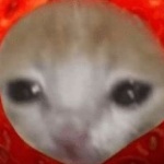 sunnyxy11 member profile picture