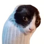 W1NL member profile picture