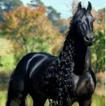 Lilith5873 member profile picture