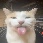 gillsgills member profile picture