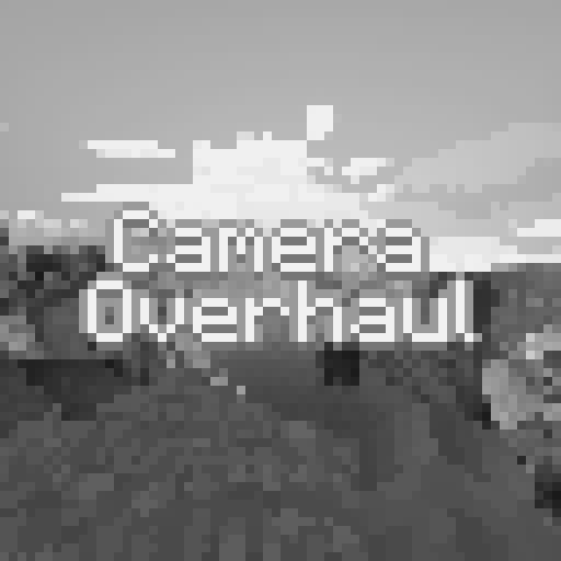 CameraOverhaul (Vintage) logo