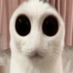 issacwasabi member profile picture