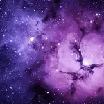 TheShlumpus member profile picture