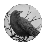 Corneille member profile picture