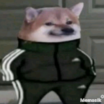 mrhonza member profile picture