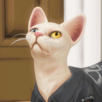 TheKittyHashira member profile picture