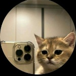 Raikelgamer28 member profile picture