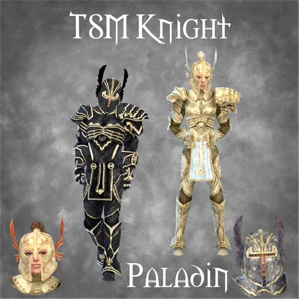 TSM Knight Armor: Paladin logo