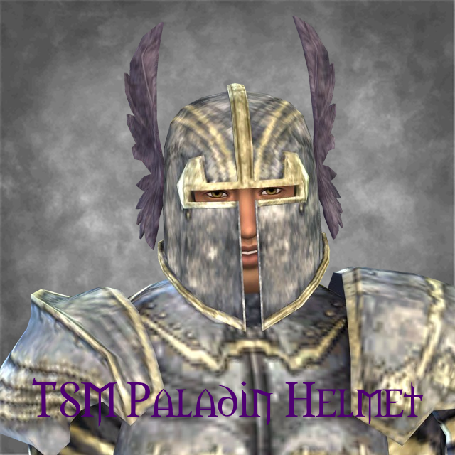 TSM Knight Helmet: Paladin logo