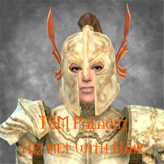 TSM Knight Helmet: Paladin, with Hair Attached logo
