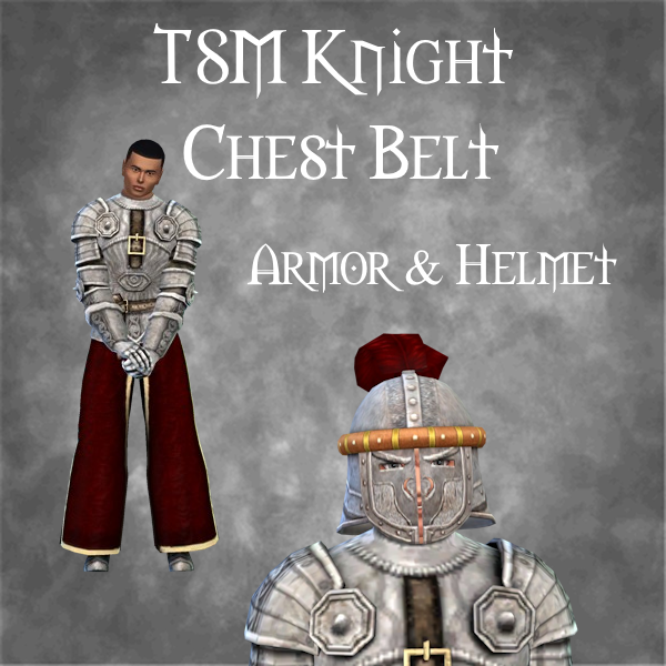 TSM Knight Chest Belt Armor and Helmet logo