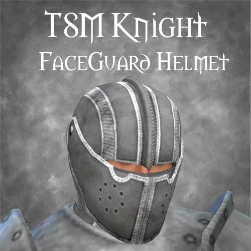 TSM Knight Faceguard Helmet logo
