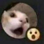 View DiedCupcake23's Profile