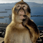 zure_says_hi member profile picture