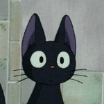 Filvs member profile picture