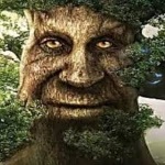 BigChumGaming member profile picture