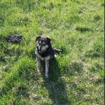 MisIek1234 member profile picture