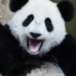 KAYNAN member profile picture