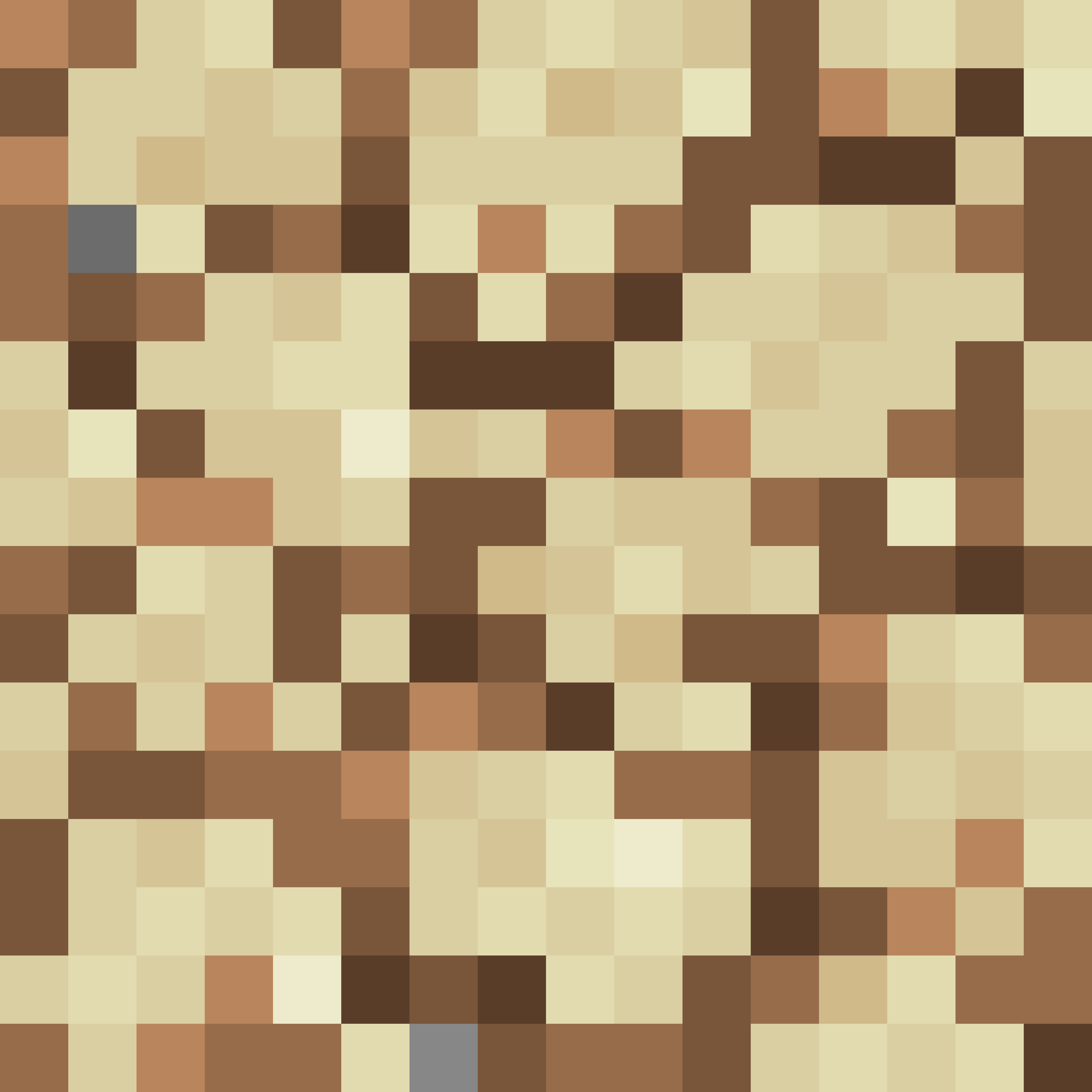 Sandy Dirt Block