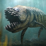 TheFishyFish member profile picture