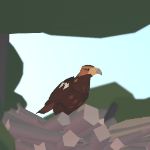 Random_Hawk member profile picture