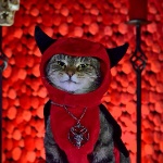 Andye95 member profile picture