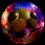 pyerre member profile picture