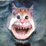 Sn1k member profile picture