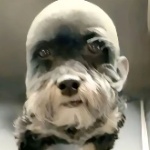 zNeonZito member profile picture