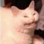 Smurmus4real member profile picture
