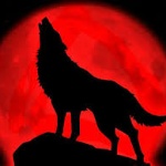 Schadow_Wolf member profile picture