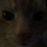 Tyl3rJam2018 member profile picture