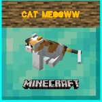 Cat__Meow__ member profile picture