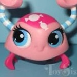coconutbestnut member profile picture