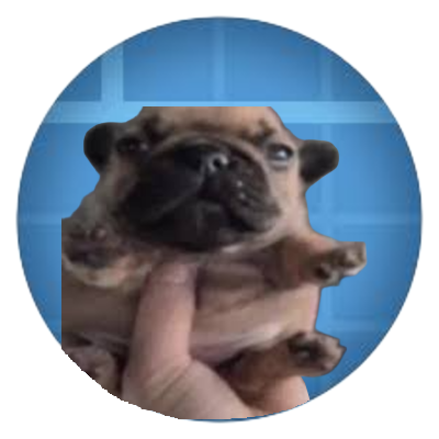 Create: Pibblefied logo