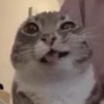 lordraiyon69 member profile picture