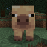 Rand00mGuy member profile picture