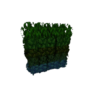 Fossils & Archaeology Bushy leaves