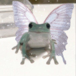 StarryOasis member profile picture
