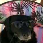 BlangasFMB member profile picture