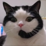 View FabioCostaFTW's Profile