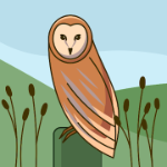 Chip_The_Owl