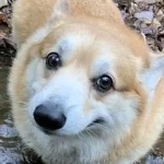 kriNiki member profile picture